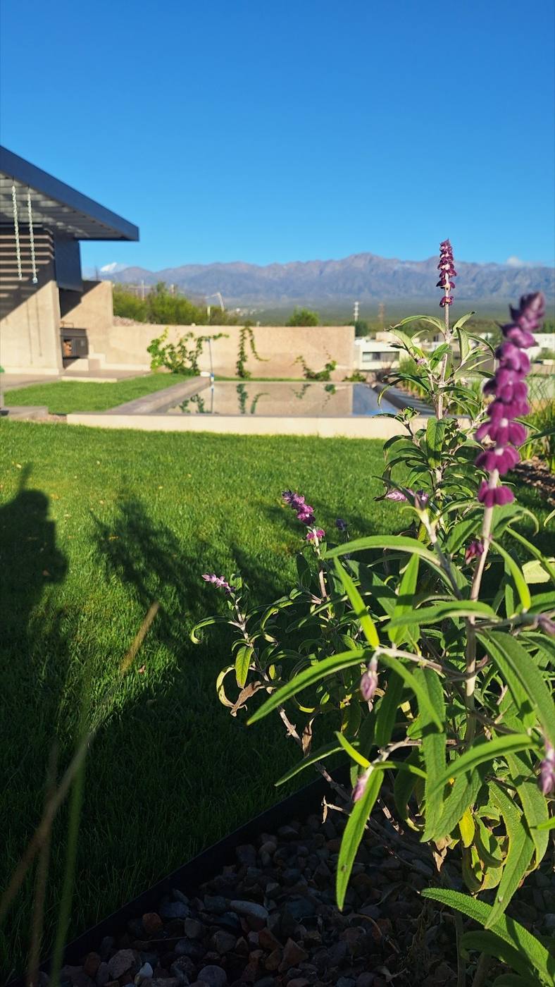 Jardín con pileta diseñado por Acacia Paisajismo en Gran Mendoza